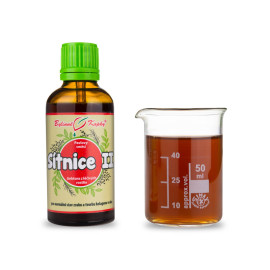 Regenerace sítnice II kapky (tinktura) 50 ml