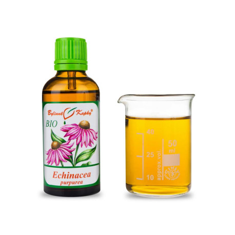 Echinacea fialová BIO kapky (tinktura) 50 ml