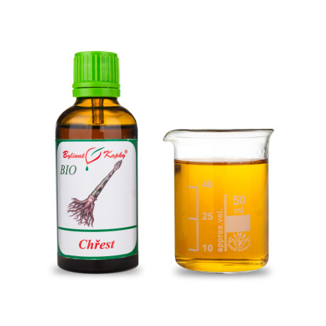 Shatavari BIO kapky (tinktura) 50 ml