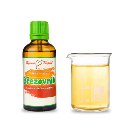 Bříza - kapky Duše rostlin (tinktura) 50 ml