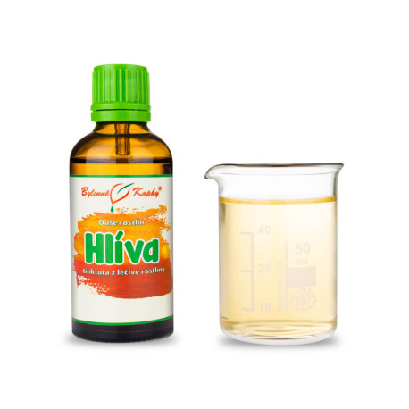 Hlíva ústřičná - Bylinné kapky (tinktura) Plant Soul 50 ml