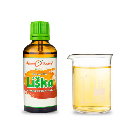 Liška - Bylinné kapky (tinktura) Rostlinná duše 50 ml