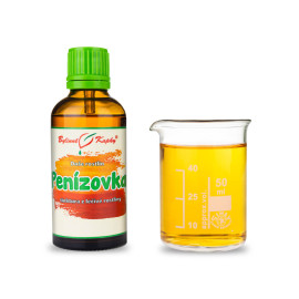 Zimní plamének - Bylinné kapky (tinktura) Rostlinná duše 50 ml