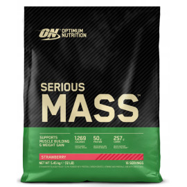 Optimum Nutrition Serious Mass 5450g Jahoda