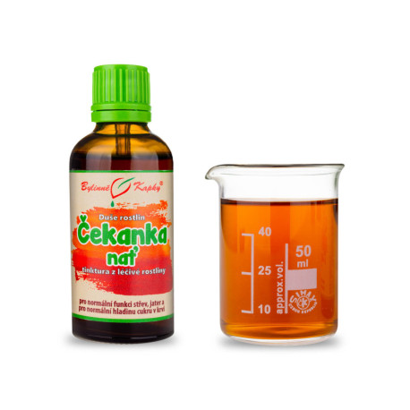 Čekanka - bylinné kapky (tinktura) Plant Soul 50 ml