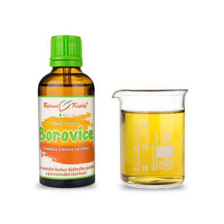 Borovice - kapky Duše rostlin (tinktura) 50 ml