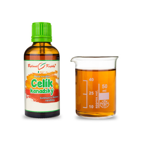 Zlatobýl kanadský - kapky Duše rostlin (tinktura) 50 ml