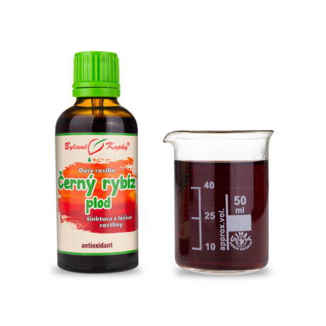 Plod černého rybízu - Rostlinná duše (tinktura) 50 ml