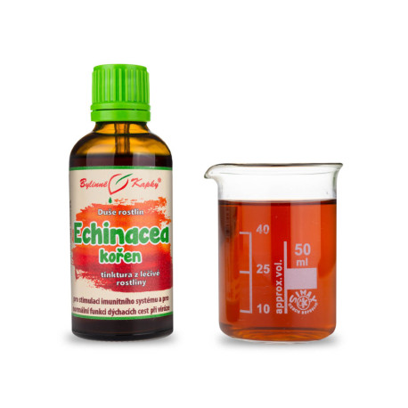 Echinacea Purple Root - bylinné kapky (tinktura) Plant Soul 50 ml