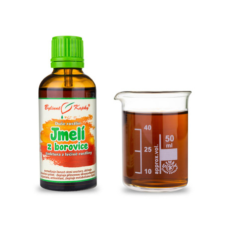 Borovicové jmelí - bylinné kapky (tinktura) Rostlinná duše 50 ml