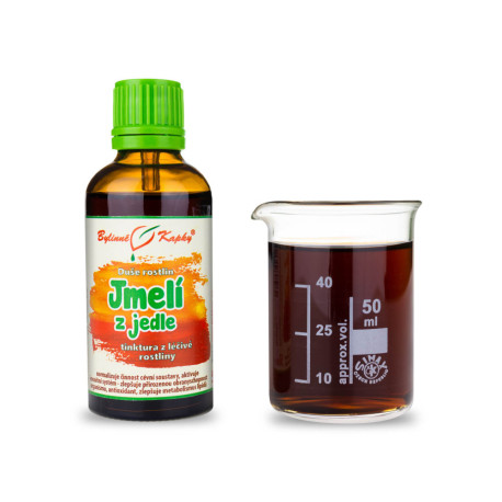 Jmelí z jedle - Bylinné kapky (tinktura) Duše rostlin 50 ml