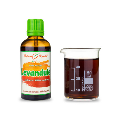 Levandule - bylinné kapky (tinktura) Plant Soul 50 ml
