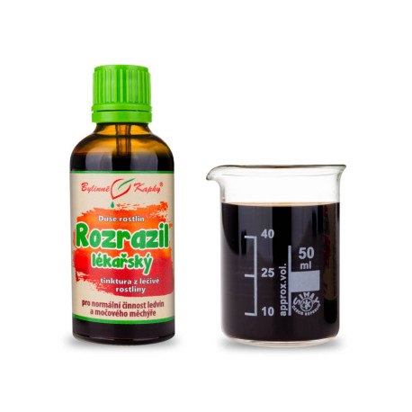 Veronica - bylinné kapky (tinktura) duše rostlin 50 ml