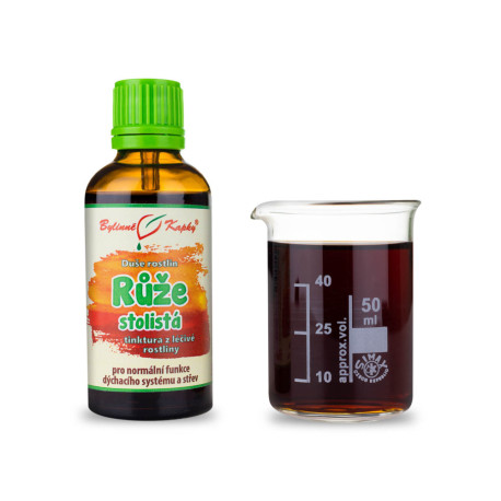 Stonožková růže - bylinné kapky (tinktura) rostlinná duše 50 ml