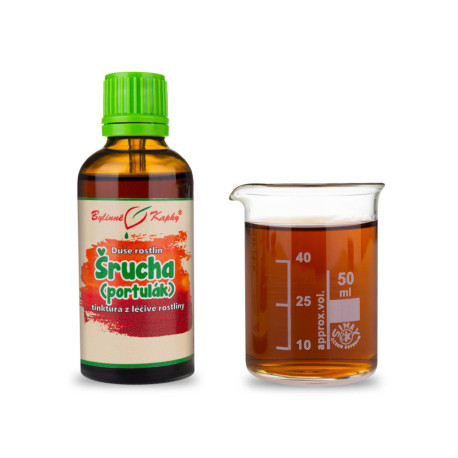 Šrucha zelná - bylinné kapky (tinktura) Rostlinná duše 50 ml
