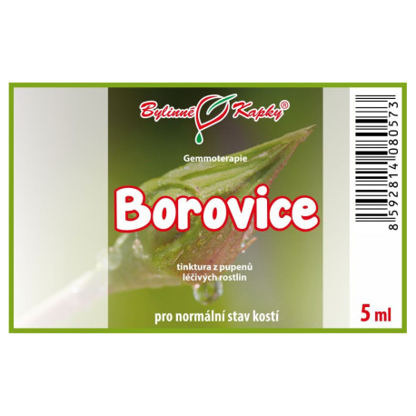 Borovicové pupeny 5 ml - gemmoterapie