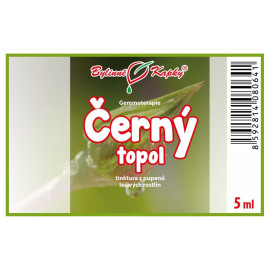 Poupata topolu černého 5 ml - gemmoterapie