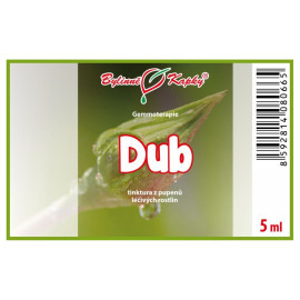 Dubové pupeny 5 ml - gemmoterapie