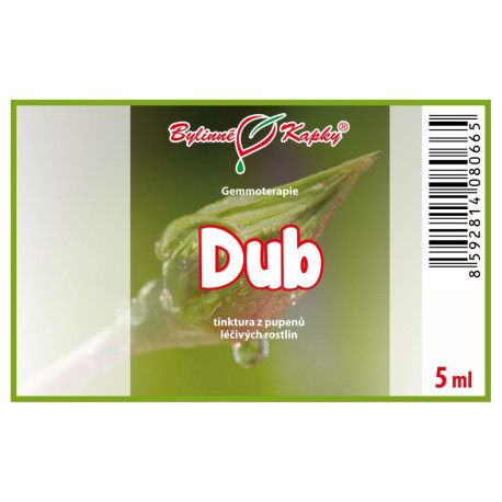 Dubové pupeny 5 ml - gemmoterapie