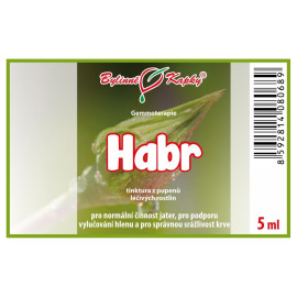 Habrové pupeny 5 ml - gemmoterapie