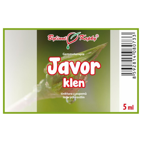 Poupě javoru horského 5 ml - gemmoterapie