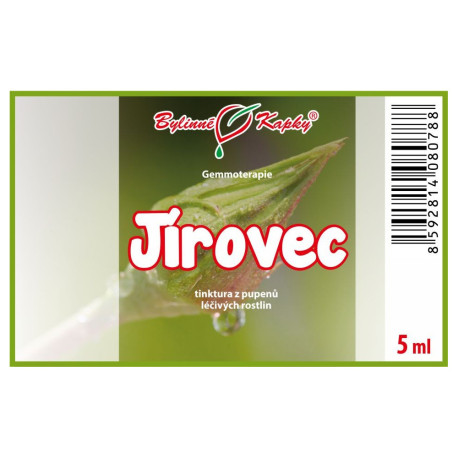 Poupata kaštanu koňského 5 ml - gemmoterapie