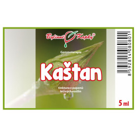 Poupat kaštanu 5 ml - gemmoterapie