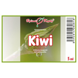 Actinidia delicious buds 5 ml - gemmoterapie