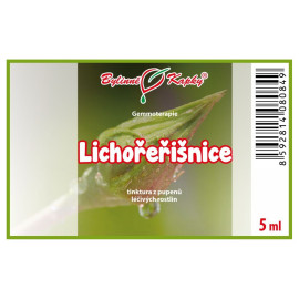 kapucín větší 5 ml - gemmoterapie
