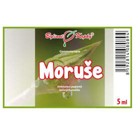 Poupata moruše 5 ml - gemmoterapie