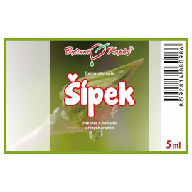 Šípkové pupeny 5 ml - gemmoterapie