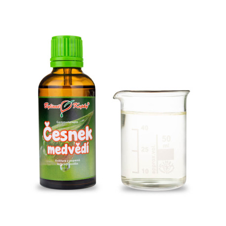 Medvědí česnek 50 ml - gemmoterapie