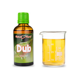 Dubové pupeny 50 ml - gemmoterapie