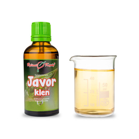 Poupě javoru horského 50 ml - gemmoterapie