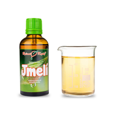 Poupěte jmelí bílé 50 ml - gemmoterapie