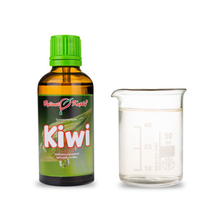Čínská Actinidia Buds 50 ml - gemmoterapie