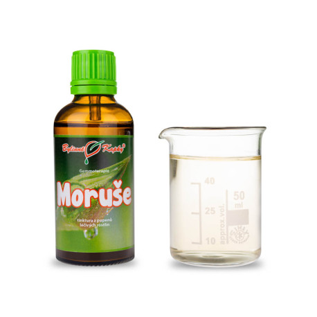 Poupata moruše černé 50 ml - gemmoterapie