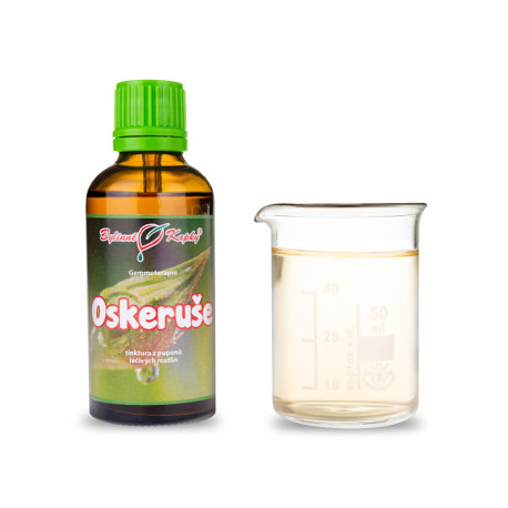 Jeřabiny 50 ml - gemmoterapie