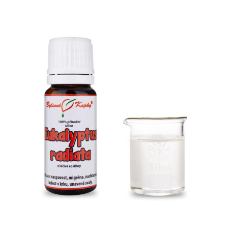 Eucalyptus radiata 100% přírodní esenciální oleje - esenciální olej 10 ml