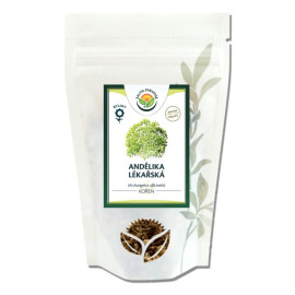 Andělika lékařská kořen 1000g
