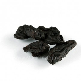 Garcinia plod - Garcinia cambodia - 100g celých