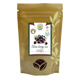 Acai berry prášek BIO 100g