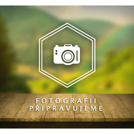 CZ BOX Ostropestřec standardizovaný extrakt kapsle 8 x 100 ks