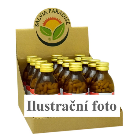 CZ BOX Rozchodnice růžová - Rhodiola kapsle 12 x 120 ks