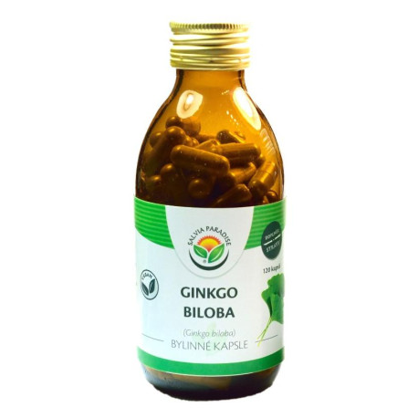 Ginkgo biloba - jinan kapsle 120ks