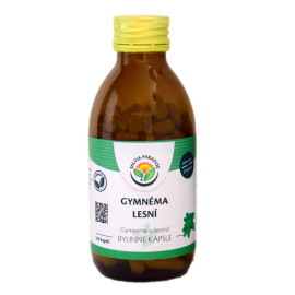 Gymnéma lesní kapsle 120 ks