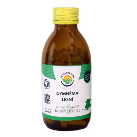 Gymnéma lesní kapsle 120 ks