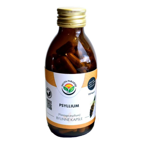 Psyllium kapsle 120 ks