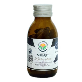 Shilajit - mumio kapsle 60 ks