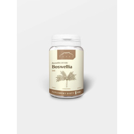 Boswellia 100 kapslí x 500 mg - 100